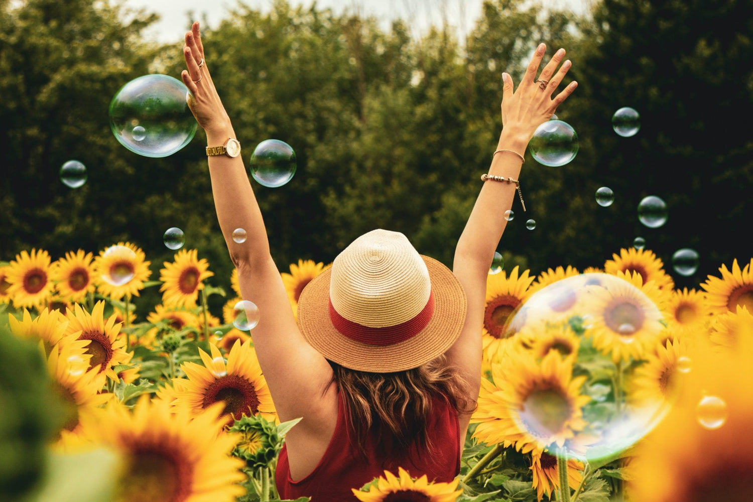 3 Positive Steps To Discover The Purpose Of Life