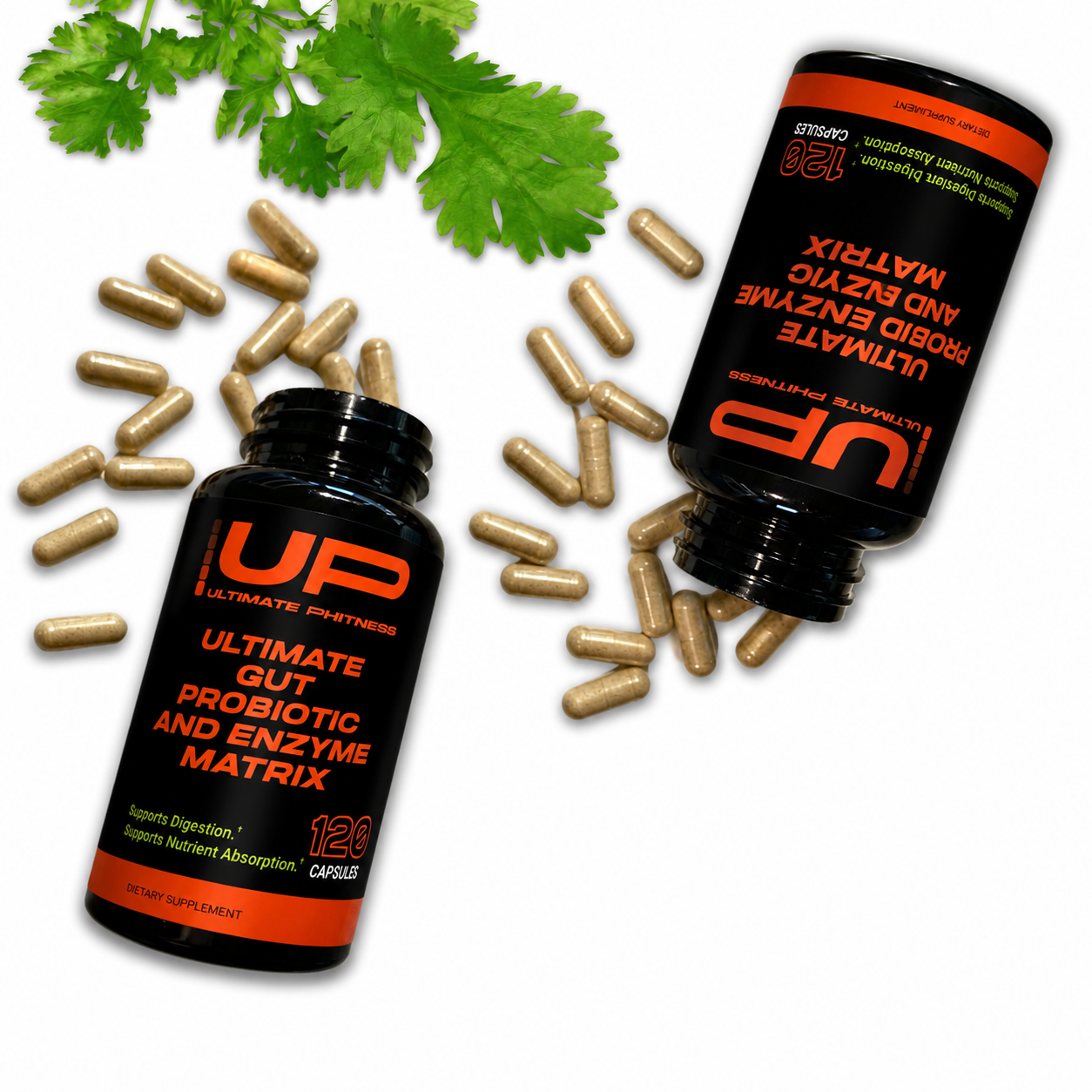 Ultimate Gut Probiotic and Enzyme Matrix